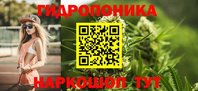 прущие крисы Кунгур