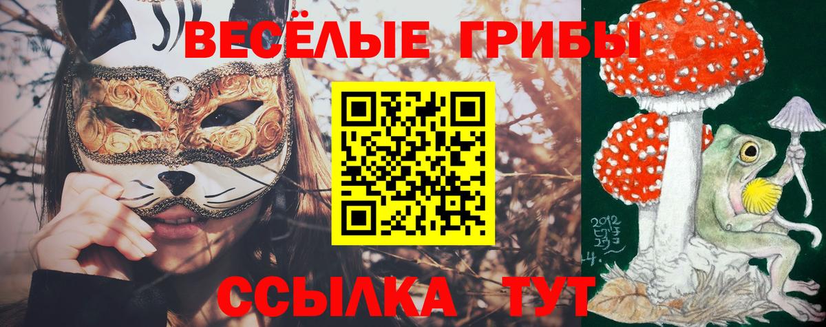 Псилоцибиновые грибы мицелий  Псилоцибиновые грибы Psilocybine cubensis  Жуковский  Вход с VPN 